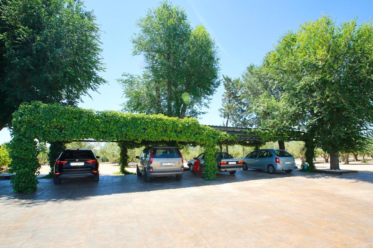 Villa Senia Tomaset II Onil Exterior foto