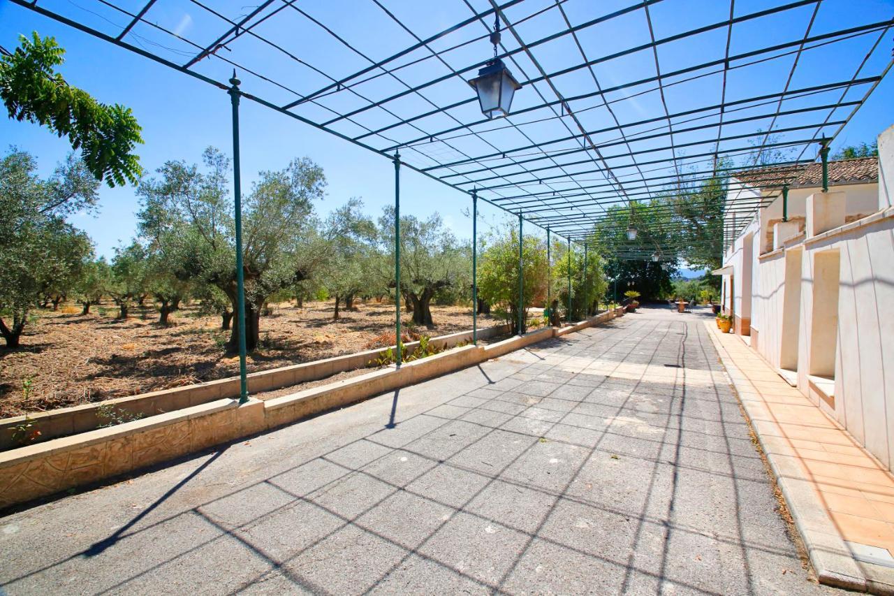 Villa Senia Tomaset II Onil Exterior foto